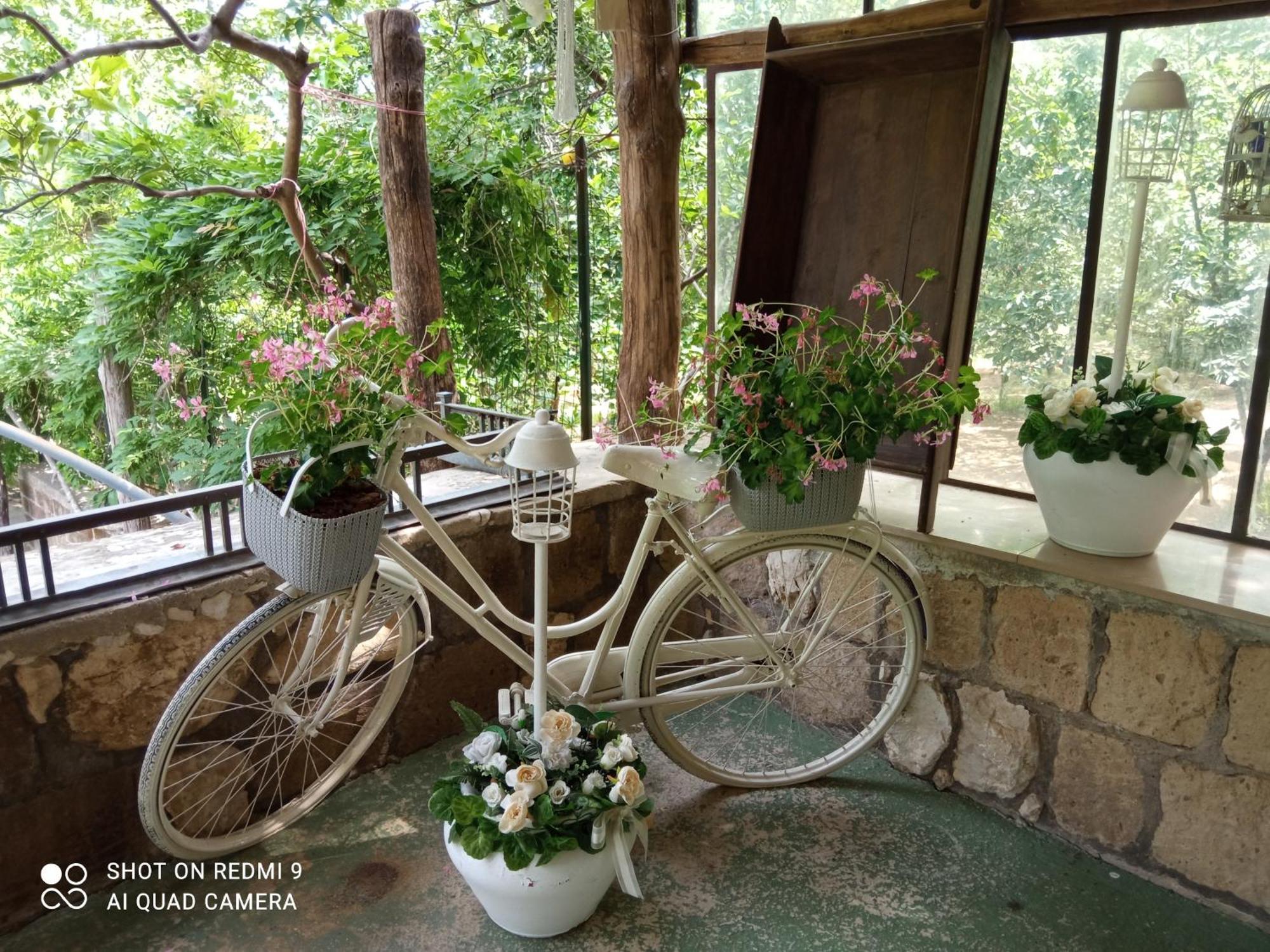Melly'S Home San Felice a Cancello Exterior foto